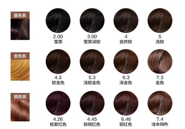 港北区:春风送岗促就业 精准服务助发展