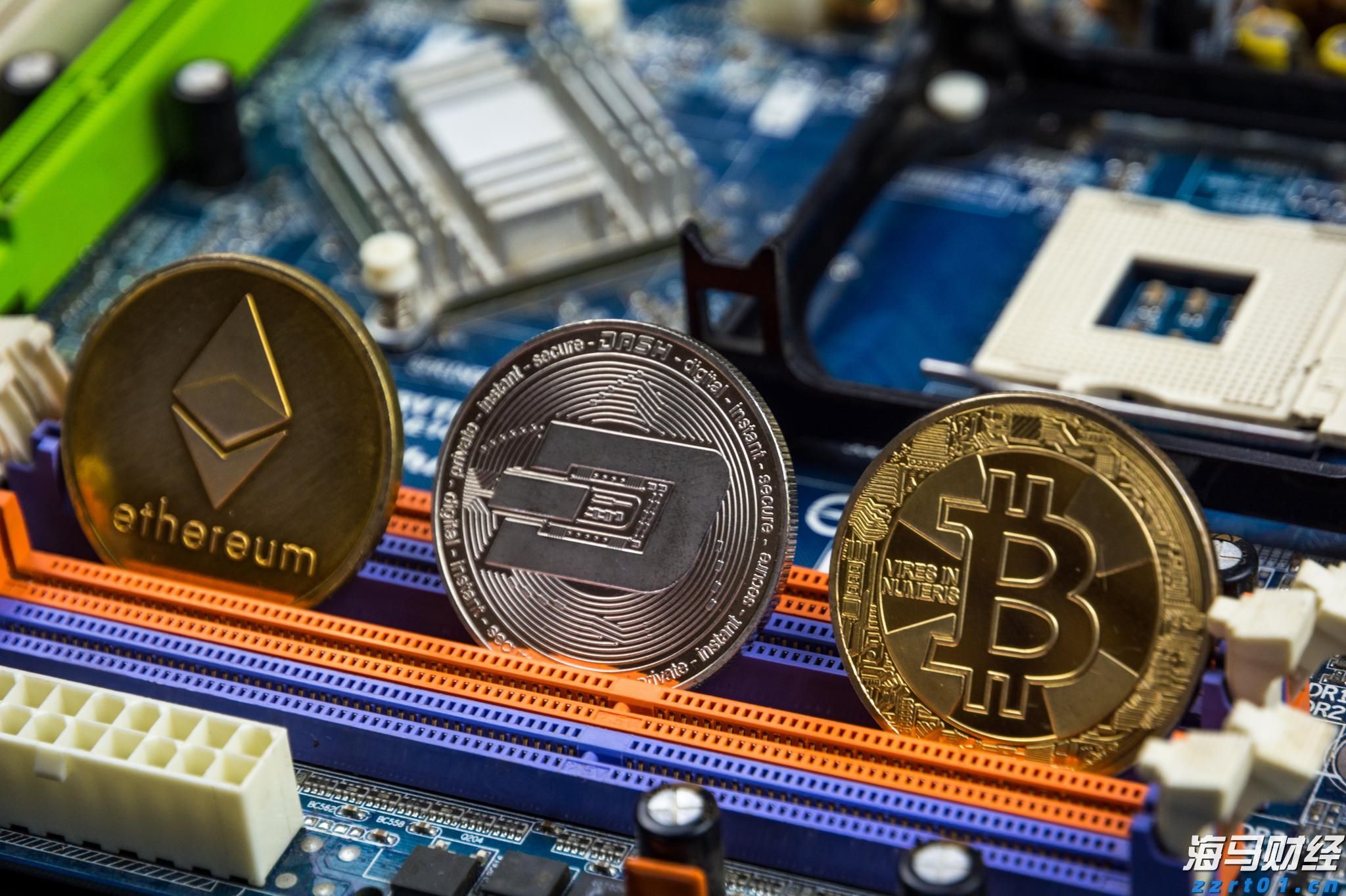 2025具身智能机器人十大发展趋势发布