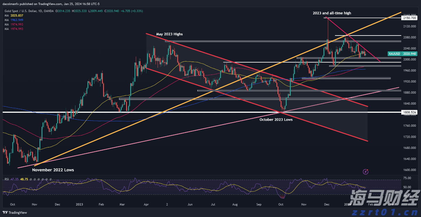 好大一“鸵”!鸵鸟来了广东也能被养成“走地鸡”