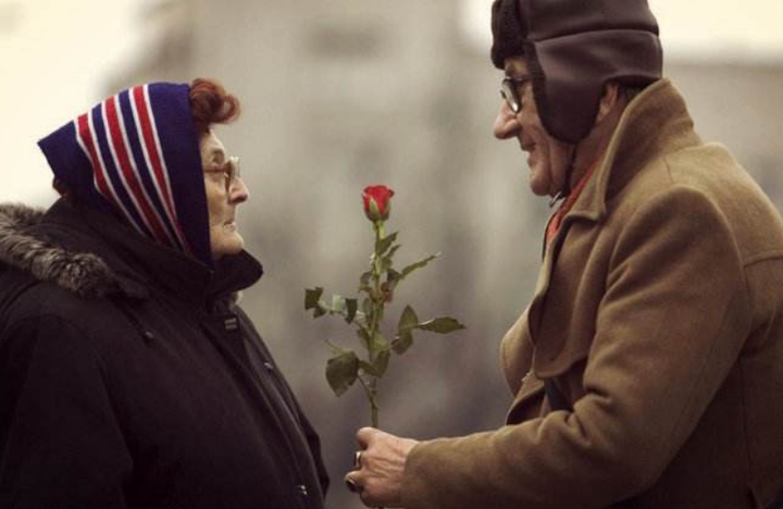 广东省农业科学院动物科学研究所主导保育的陆丰牛通过国家畜禽遗传资源鉴定