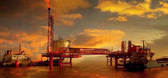 探秘!滋养春砂仁的山野秘境