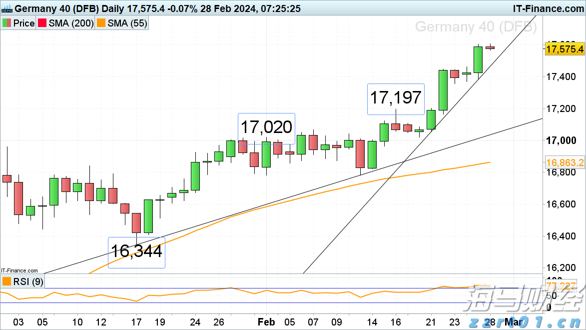 好大一“鸵”!鸵鸟来了广东也能被养成“走地鸡”