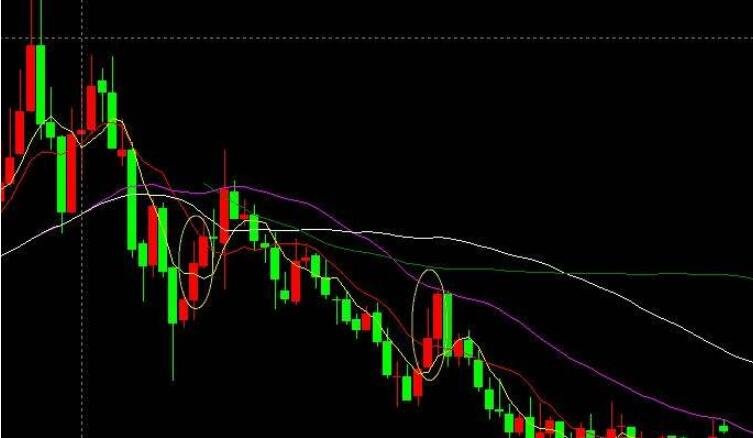 “一扩两稳”目标坚定 真抓实干服务发展——访市商务局党组书记、局长张美玲