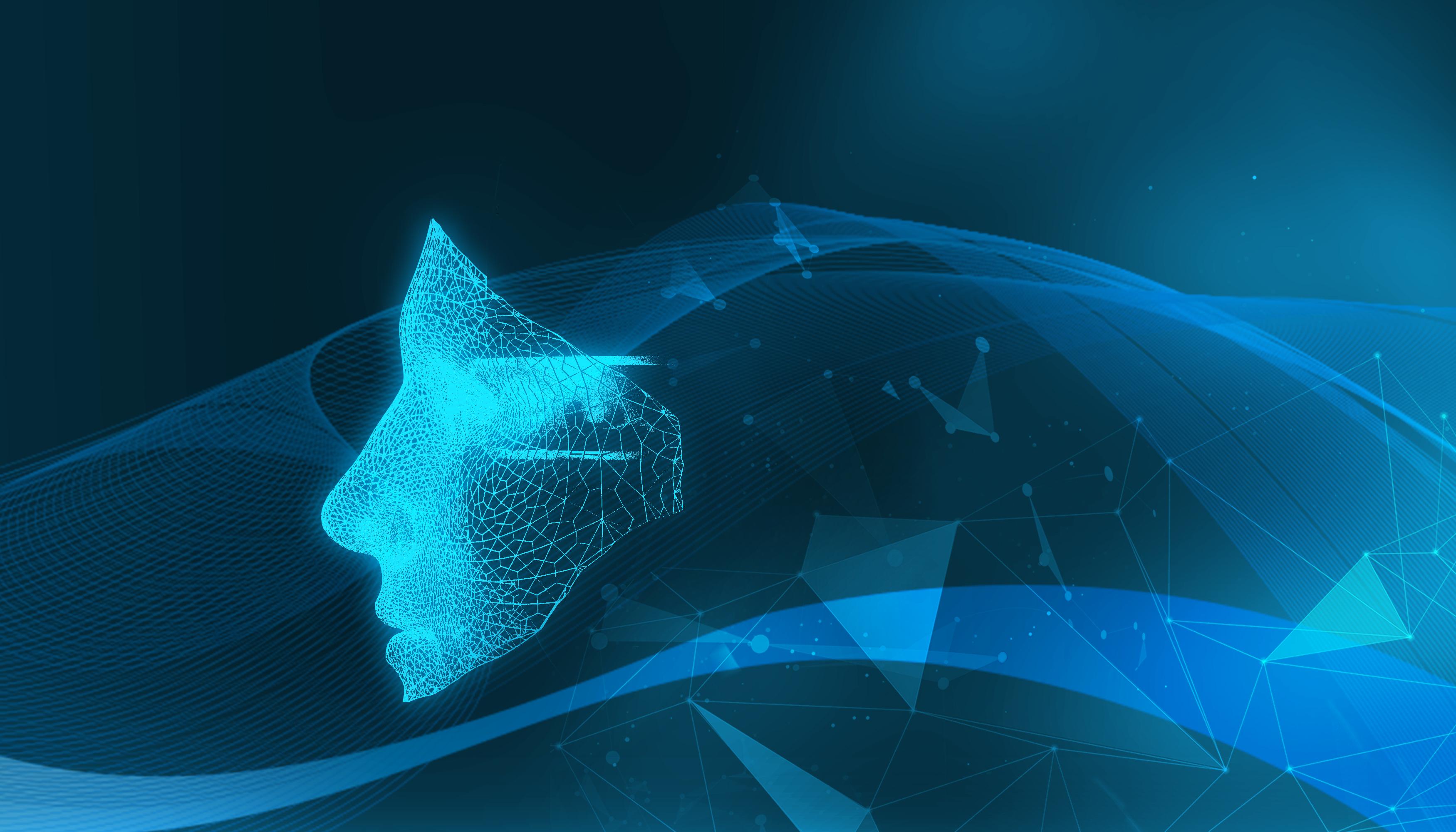 广东:全力提升婴幼儿配方乳粉质量安全水平