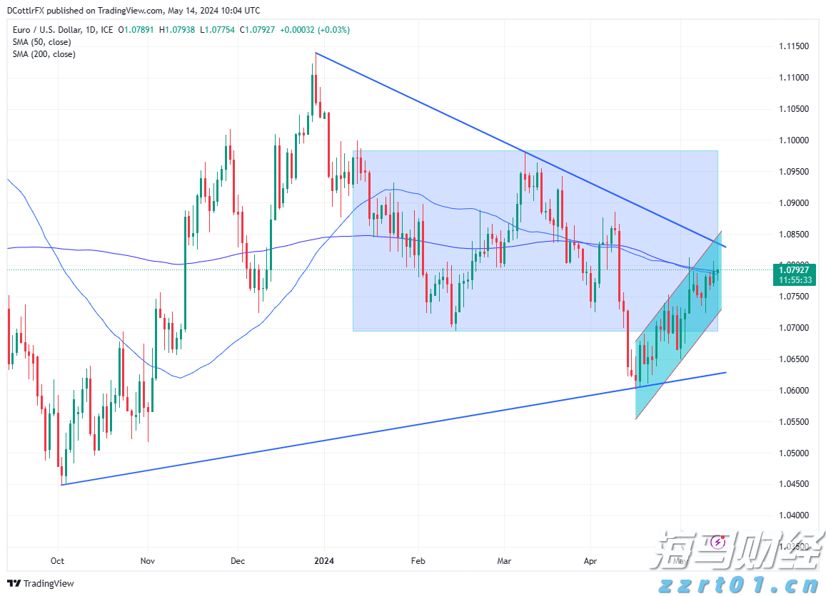 广东出台保护鸟类方案 六大任务筑牢生态屏障