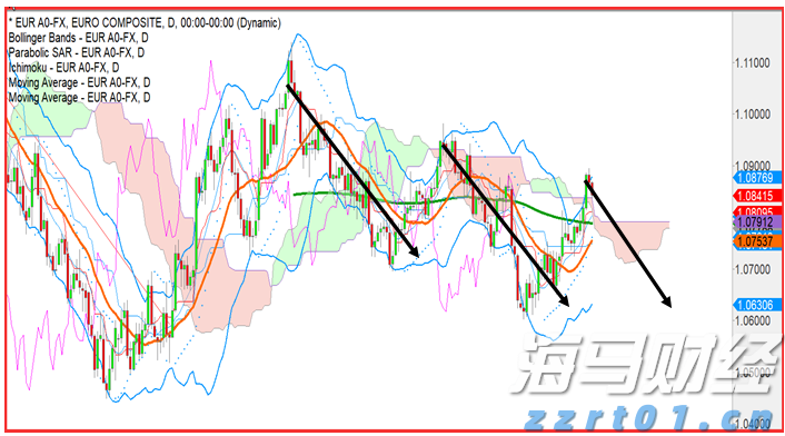 以“玩具”名义邮寄“异宠”13只,海关当场开“盲盒”