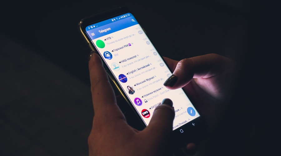 从木棉王到古树公园：广东形成古树名木保护新格局