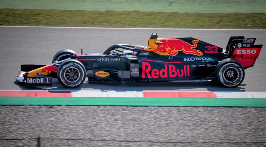 好大一“鸵”！鸵鸟来了广东也能被养成“走地鸡”