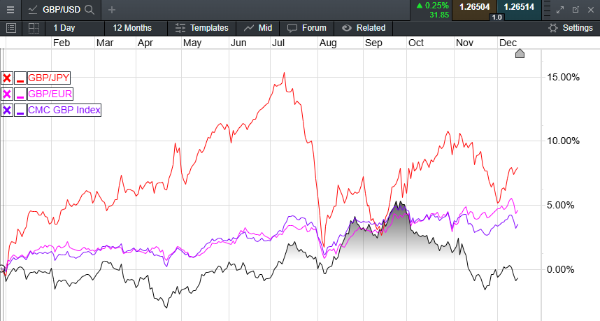 广东省出台保护鸟类工作方案 全力守护野生动物生存空间